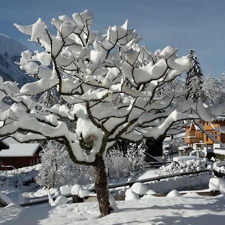 Haus Sandra Fiesch Bagian luar foto
